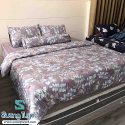 Bộ Chăn Ga Gối Cotton Lụa Modal - CLM 14