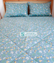 Bộ Chăn Ga Gối Cotton Lụa Modal - CLM 02