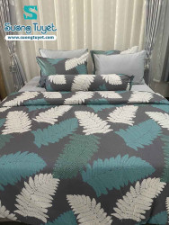 Bộ Chăn Ga Gối Cotton Lụa Modal - CLM 05