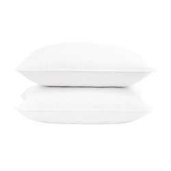 Ruột Gối Bông Sutuco