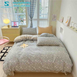 Bộ Chăn Ga Gối Cotton Hàn Quốc Nhập CHQ-041