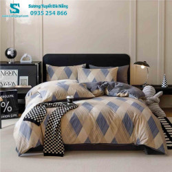 Bộ Chăn Ga Gối Cotton Hàn Quốc Nhập CHQ-045