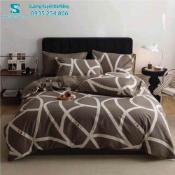 Bộ Chăn Ga Gối Cotton Hàn Quốc Nhập CHQ-050