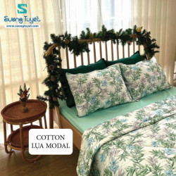 Bộ Chăn Ga Gối Cotton Lụa Modal - CLM 27