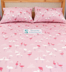 Bộ Chăn Ga Gối Cotton Lụa Modal - CLM 38
