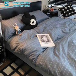 Bộ Chăn Ga Gối Cotton Hàn Quốc Nhập CHQ-034
