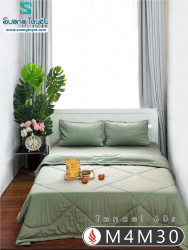 Bộ Chăn Ga Tencel Satin 60S M4M-30-Màu-Xanh