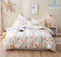 Bộ Chăn Ga Gối Cotton Hàn Quốc Nhập CHQ-56