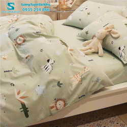 Bộ Chăn Ga Gối Cotton Hàn Quốc Nhập CHQ-032