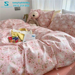 Bộ Chăn Ga Gối Cotton Hàn Quốc Nhập CHQ-030