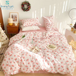 Bộ Chăn Ga Gối Cotton Hàn Quốc Nhập CHQ-61