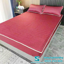 Chiếu Điều Hòa Cao Su Non - 026