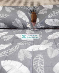 Bộ Chăn Ga Gối Cotton Lụa Modal - CLM 60