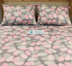 Bộ Chăn Ga Gối Cotton Lụa Modal - CLM 64