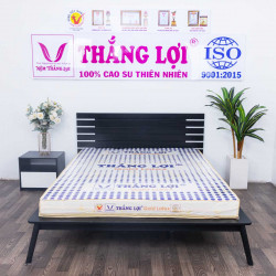 Nệm Cao Su Thắng Lợi Gold Latex