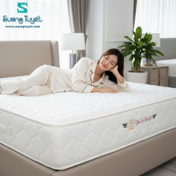 Nệm Lò Xo Túi Dana Pacific