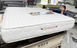 Nệm Lò Xo Túi Dana Pacific