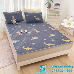 Chiếu Điều Hòa Cao Su Non - 030