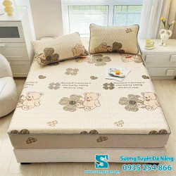 Chiếu Điều Hòa Cao Su Non - 031