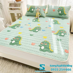 Chiếu Điều Hòa Cao Su Non - 033