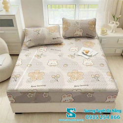 Chiếu Điều Hòa Cao Su Non - 034