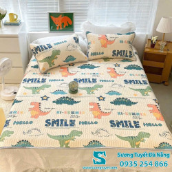 Chiếu Điều Hòa Cao Su Non - 035