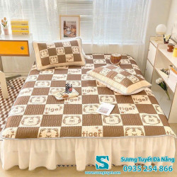 Chiếu Điều Hòa Cao Su Non - 040