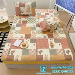 Chiếu Điều Hòa Cao Su Non - 041