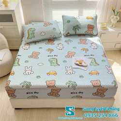 Chiếu Điều Hòa Cao Su Non - 042