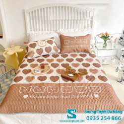 Chiếu Điều Hòa Cao Su Non - 043