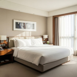 Bọc Ra Khách Sạn Vải T250