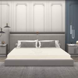 Nệm Cao Su Queen Latex Vạn Thành Standard