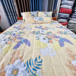 Bộ Chăn Ga Gối Cotton Hàn Quốc CHQ-002