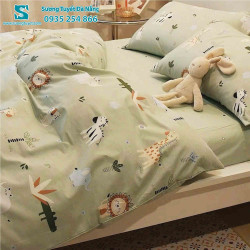 Bộ Chăn Ga Gối Cotton Hàn Quốc Nhập CHQ-012