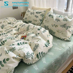 Bộ Chăn Ga Gối Cotton Hàn Quốc Nhập CHQ-014