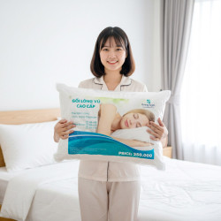Ruột Gối Lông Vũ Sutuco Microfiber Cao Cấp 