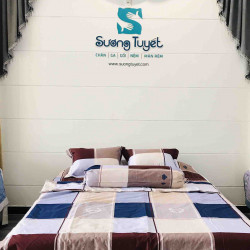 Bộ Chăn Ga Gối Cotton Hàn Quốc CHQ-54